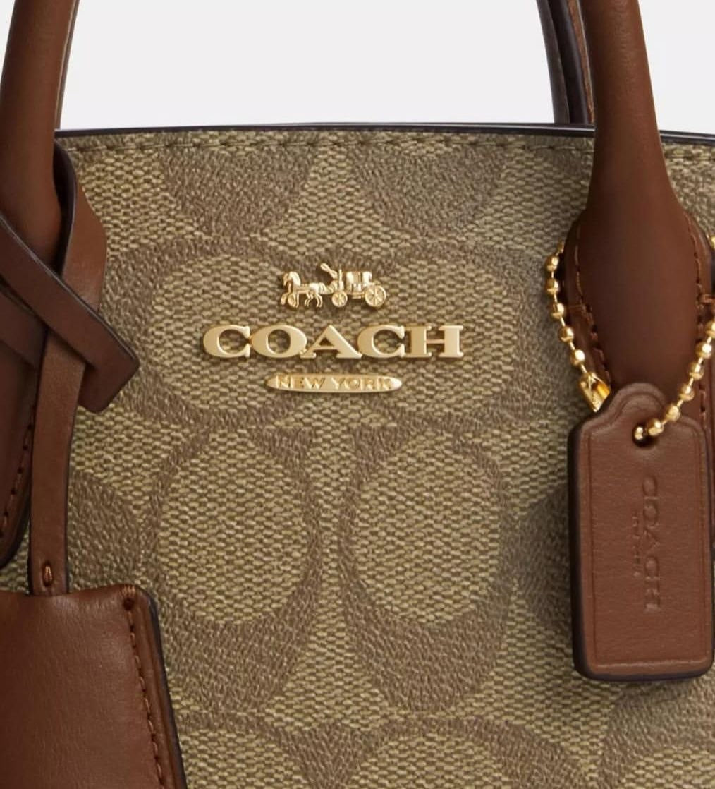 Coach Andrea Mini Carryall Bag In Signature Canvas