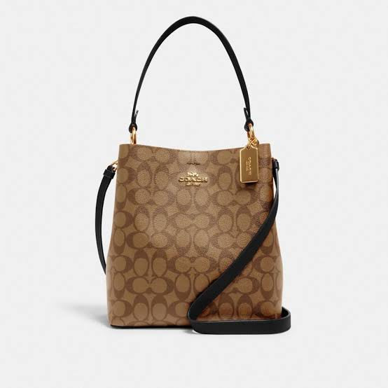 Coach Mollie Bucket Bag 22