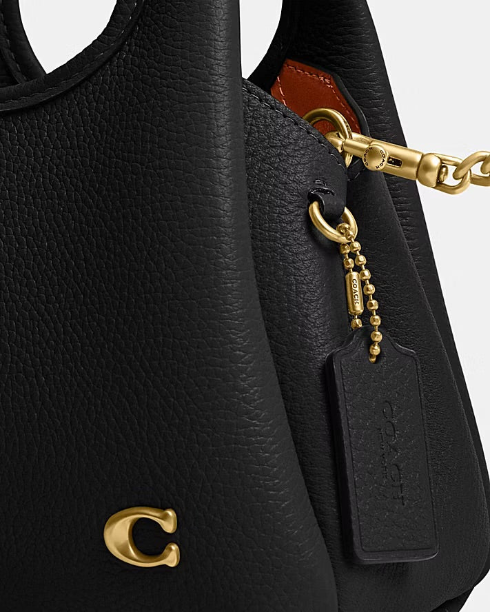 Coach Lana Shoulder Bag 19