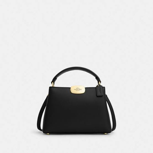 Coach Eliza Mini Carryall Bag