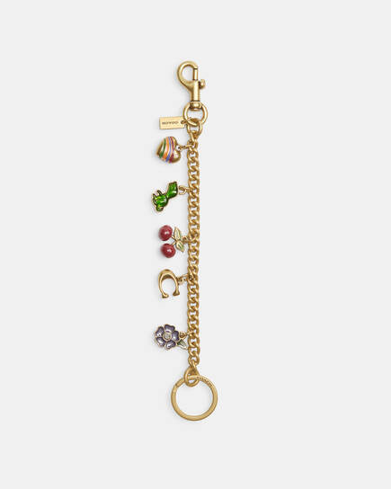 Coach Motif Chain Bag Charm
