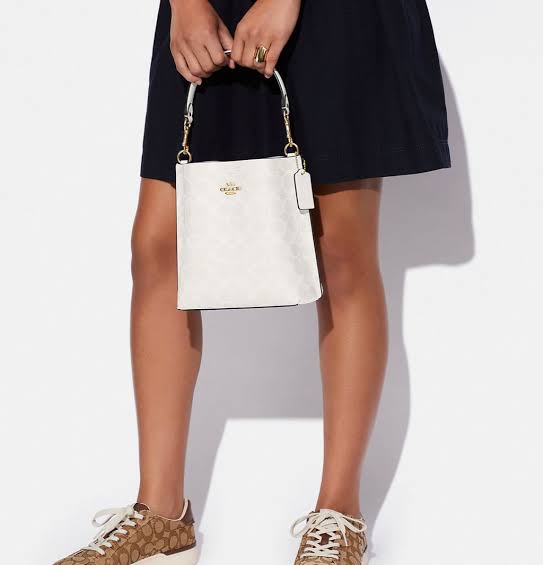Coach Mollie Bucket Bag 22 In Signature Canvas
