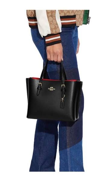 Coach Mollie Tote 25