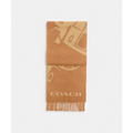 Coach Horse And Carriage Cashmere Muffler