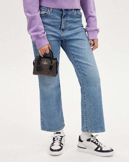 Coach Andrea Mini Carryall In Signature Canvas Coach