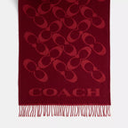 Coach Signature Oversized Muffler
